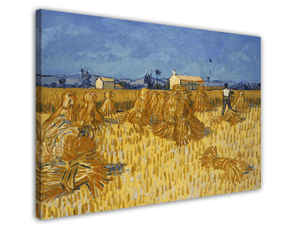 Vincent van Gogh - Getreide-Ernte in der Provence