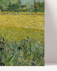 After Hover: Vincent van Gogh - Feld mit Blumen in der Nähe von Arles