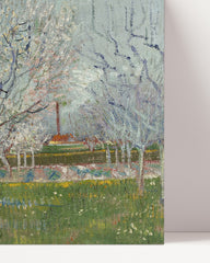 After Hover: Vincent van Gogh - Blühender Obstgarten Pflaumenbaum