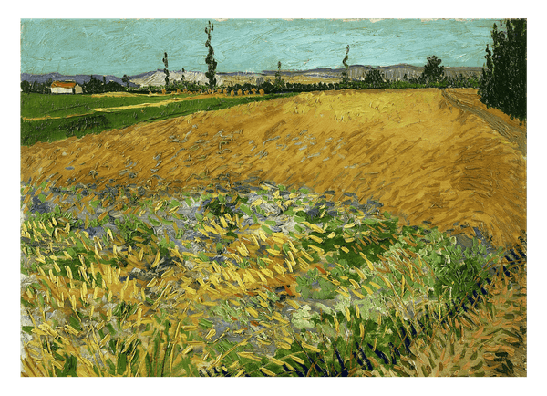 Vincent van Gogh - Weizenfeld