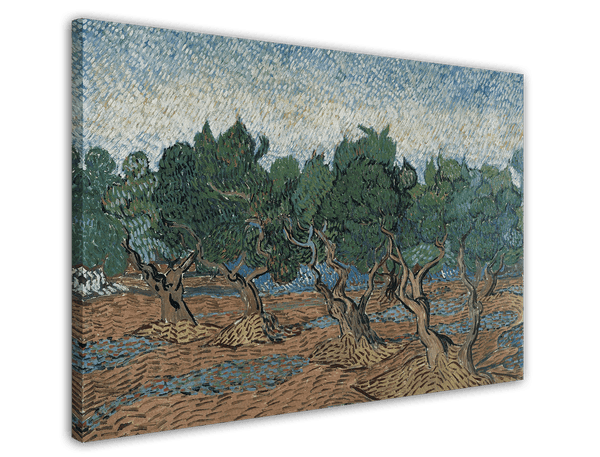 Vincent van Gogh - Oliven-Hain