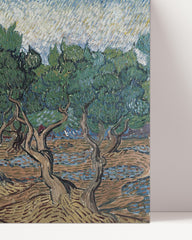 After Hover: Vincent van Gogh - Oliven-Hain