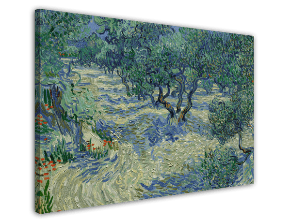 Vincent van Gogh - Oliven-Feld