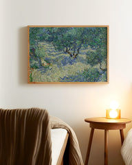 After Hover: Vincent van Gogh - Oliven-Feld