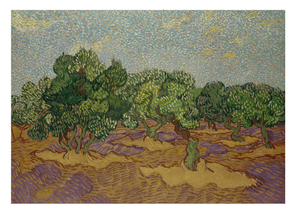 Vincent van Gogh - Oliven-Bäume II