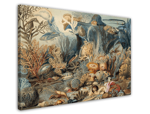 James M. Sommerville - Meeresleben