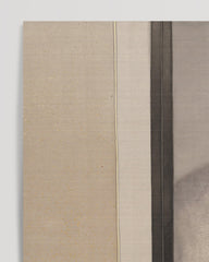 After Hover: Ōide Tōkō - Katze beobachtet eine Spinne