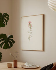 After Hover: Margaret Neilson Armstrong - Nordwestlicher Indianer Pinsel, Castilleja Angustifolia