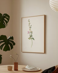 After Hover: Margaret Neilson Armstrong - Amerikanische Wildblumen mit rosa Blüten