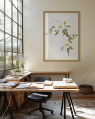 After Hover: Margaret Neilson Armstrong - Weiße Clematis