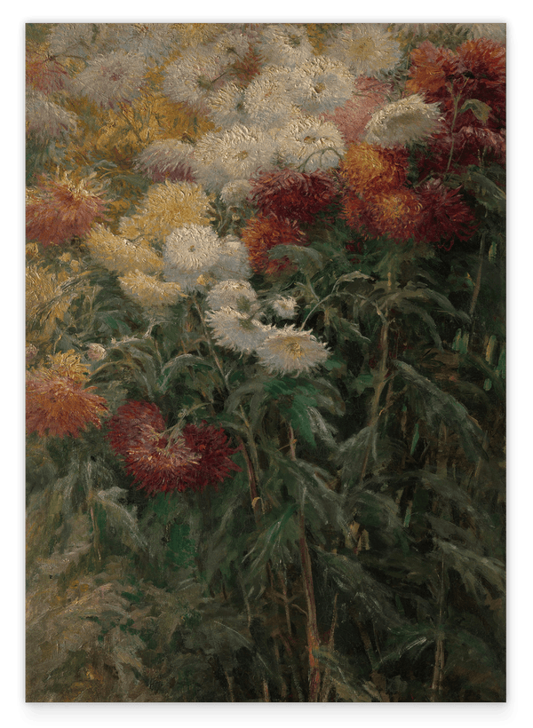 Gustave Caillebotte - Chrysanthemen im Garten bei Petit-Gennevilliers