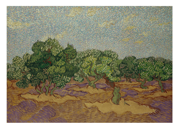 Vincent van Gogh - Olivenbäume