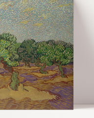 After Hover: Vincent van Gogh - Olivenbäume