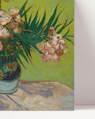 After Hover: Vincent van Gogh - Oleander