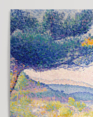 After Hover: Henri-Edmond-Kreuz - Kiefern entlang der Küste