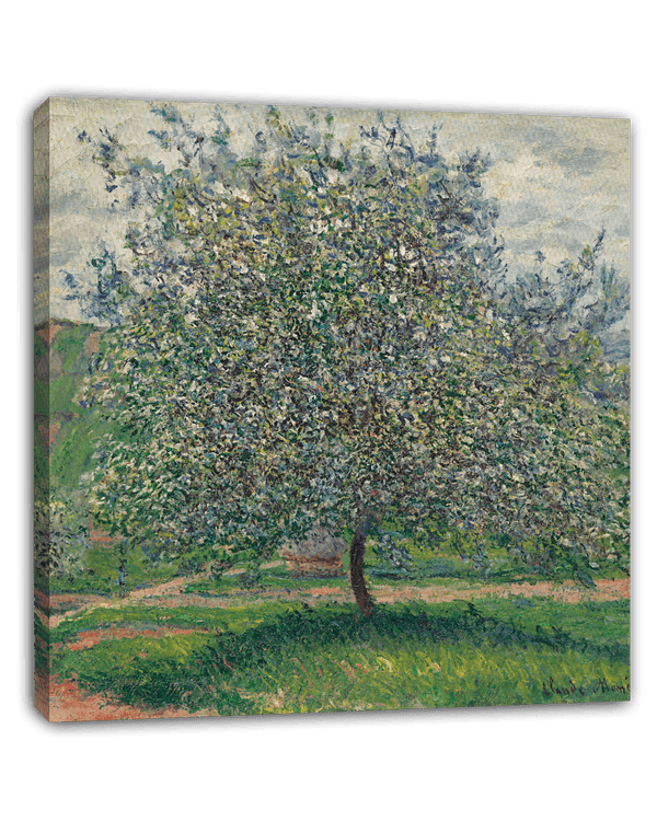 Claude Monet - Apfelbaum