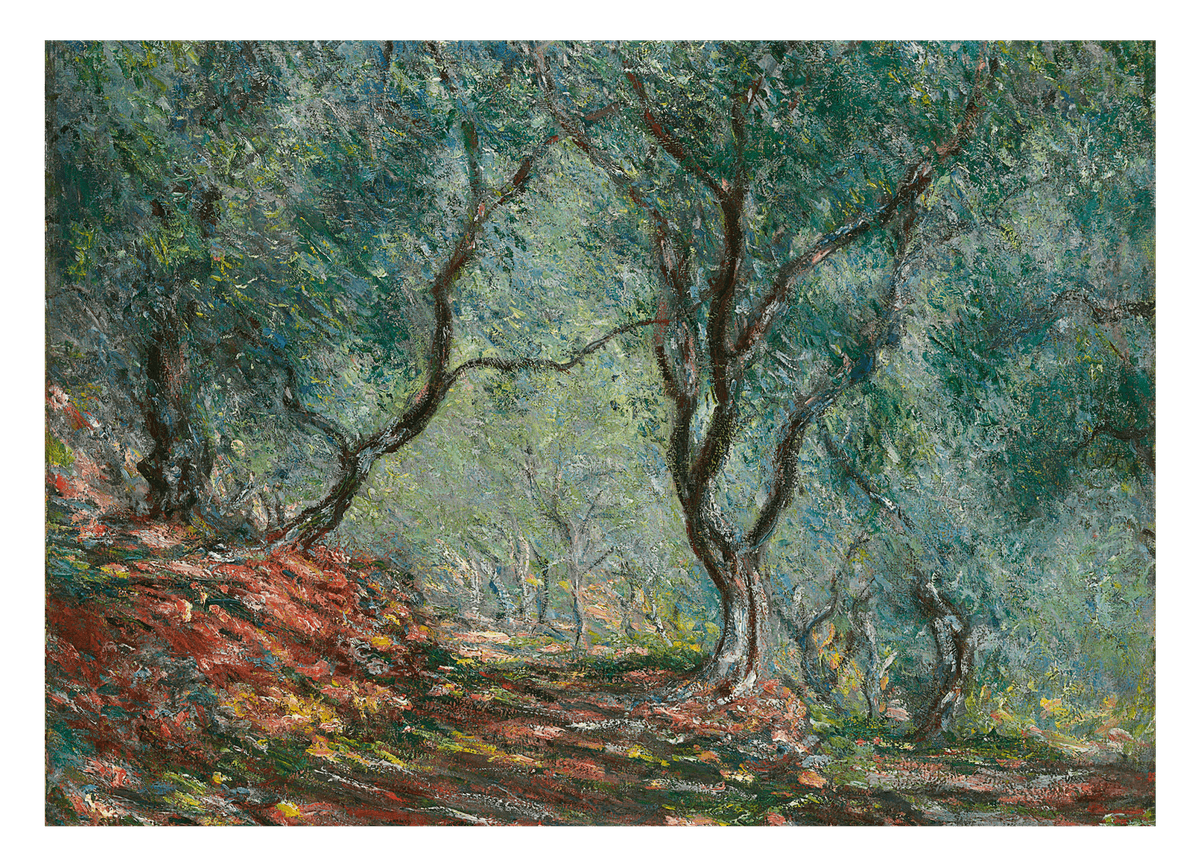 Claude Monet - Olivenholz im Moreno Garten