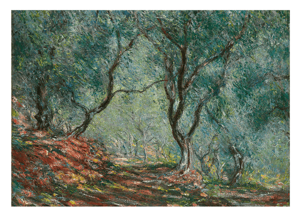 Claude Monet - Olivenholz im Moreno Garten