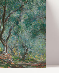 After Hover: Claude Monet - Olivenholz im Moreno Garten