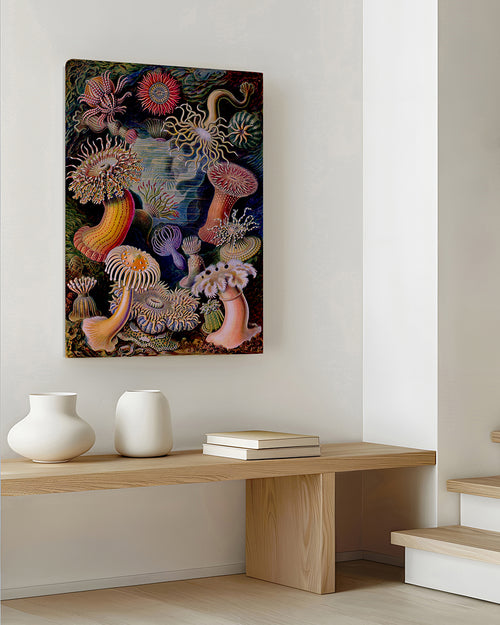 Ernst Haeckel Kunstdruck-kaufen-Anemonen