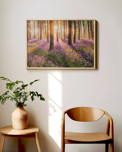 Poster-Natur-Sonnenuntergang-Praxisraum