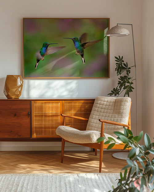 Poster-mit-Voegeln-Kolibri-kaufen