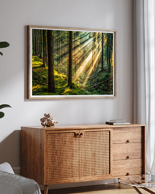 Wald-Poster-Sonnenstrahlen-Fotografie-guenstig-kaufen