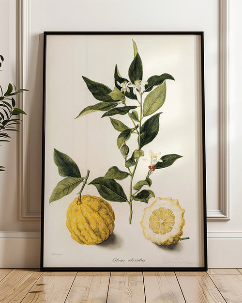 Zitrone-Poster-online-bestellen-dekoora
