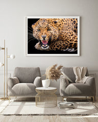 Fauchender Leopard