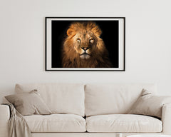 Löwen-Portrait