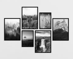 Set aus 6 Postern: "Natur in Schwarz-Weiß"