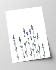 After Hover: Minimalistische Zeichnung - Lavendel
