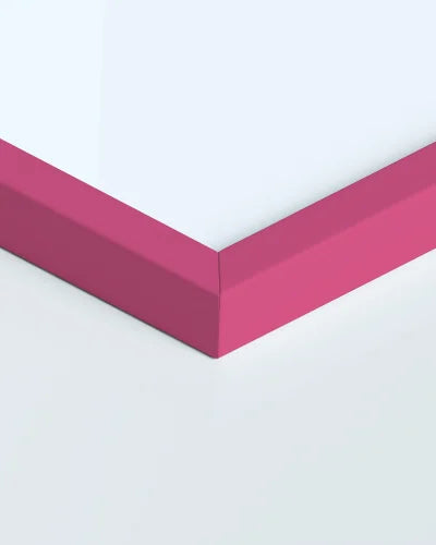 Fuchsia frame border